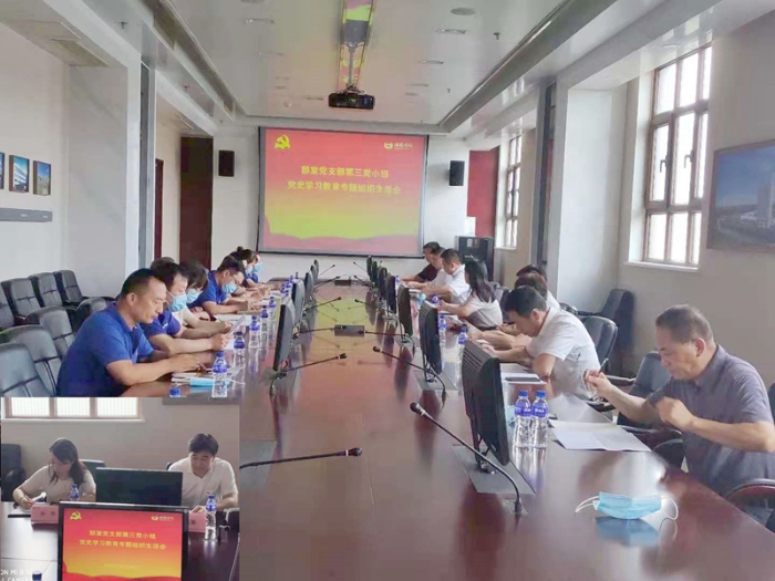 汇彩国际情形部室党支部召开党史学习教育专题组织生涯会-企业新闻-汇彩国际情形