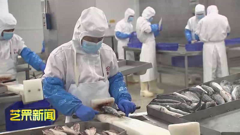 汇彩国际项目动态：海和海洋食物科技园一期工程正式投产-媒体聚焦-汇彩国际情形
