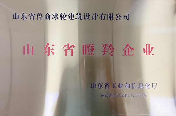 喜报！鲁商汇彩国际被认定为2022年度省瞪羚企业-企业新闻-汇彩国际情形